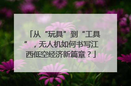 从“玩具”到“工具”，无人机如何书写江西低空经济新篇章？