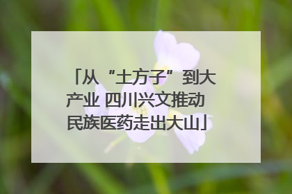 从“土方子”到大产业 四川兴文推动民族医药走出大山