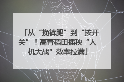 从“挽裤腿”到“按开关”！高青稻田插秧“人机大战”效率拉满