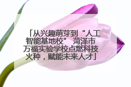 从兴趣萌芽到“人工智能基地校” 菏泽市万福实验学校点燃科技火种，赋能未来人才