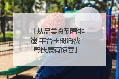 从品美食到看非遗 丰台玉树消费帮扶展有惊喜