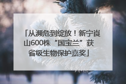从濒危到绽放！新宁崀山600株“国宝兰”获省级生物保护嘉奖