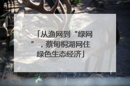 从渔网到“绿网”，蔡甸桐湖网住绿色生态经济