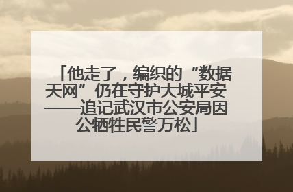 他走了，编织的“数据天网”仍在守护大城平安——追记武汉市公安局因公牺牲民警万松