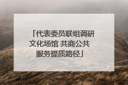 代表委员联组调研文化场馆 共商公共服务提质路径