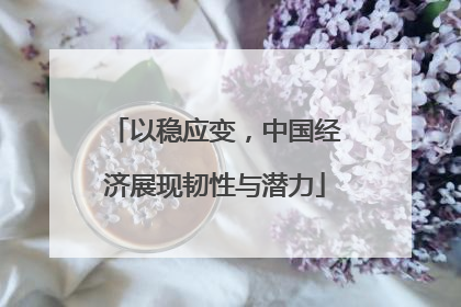 以稳应变,中国经济展现韧性与潜力