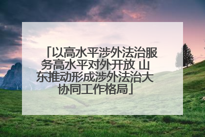 以高水平涉外法治服务高水平对外开放 山东推动形成涉外法治大协同工作格局