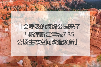 会呼吸的海绵公园来了！杨浦新江湾城7.35公顷生态空间改造焕新
