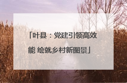 叶县：党建引领高效能 绘就乡村新图景