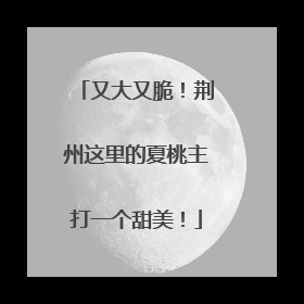 又大又脆！荆州这里的夏桃主打一个甜美！