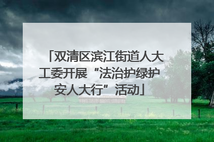 双清区滨江街道人大工委开展“法治护绿护安人大行”活动