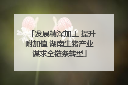 发展精深加工 提升附加值 湖南生猪产业谋求全链条转型