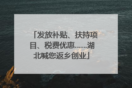 发放补贴、扶持项目、税费优惠……湖北喊您返乡创业