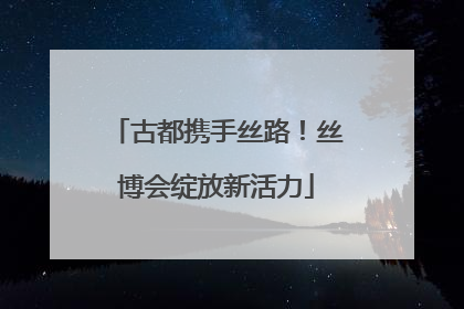 古都携手丝路！丝博会绽放新活力