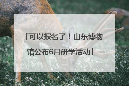 可以报名了！山东博物馆公布6月研学活动