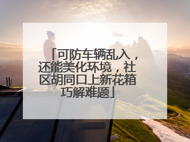 可防车辆乱入，还能美化环境，社区胡同口上新花箱巧解难题