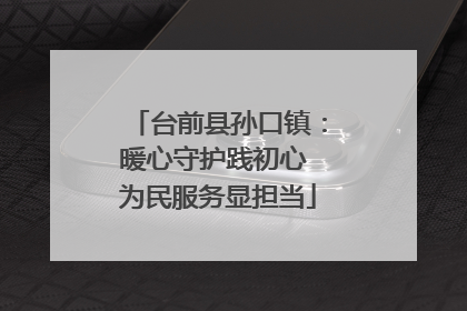 台前县孙口镇：暖心守护践初心 为民服务显担当