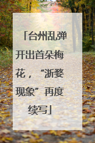 台州乱弹开出首朵梅花，“浙婺现象”再度续写