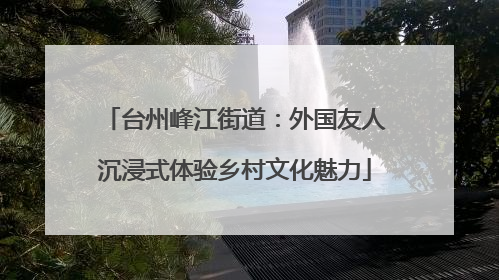 台州峰江街道：外国友人沉浸式体验乡村文化魅力