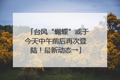 台风“蝴蝶”或于今天中午前后再次登陆！最新动态→