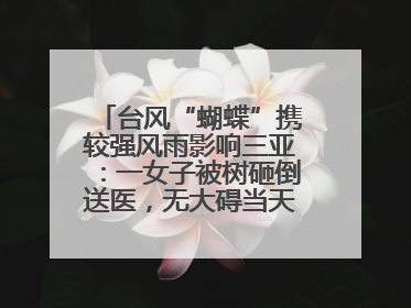 台风“蝴蝶”携较强风雨影响三亚：一女子被树砸倒送医，无大碍当天回家 当地已紧急清障