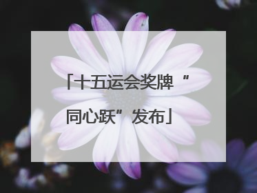 十五运会奖牌“同心跃”发布