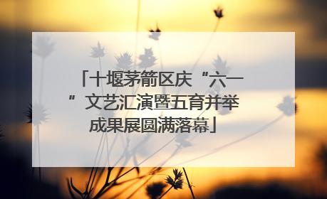 十堰茅箭区庆“六一”文艺汇演暨五育并举成果展圆满落幕