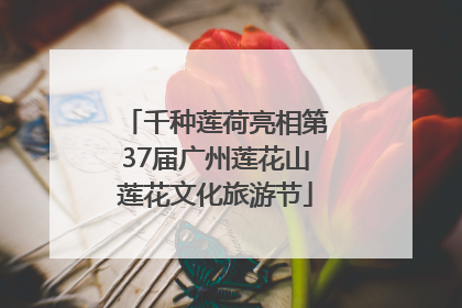 千种莲荷亮相第37届广州莲花山莲花文化旅游节