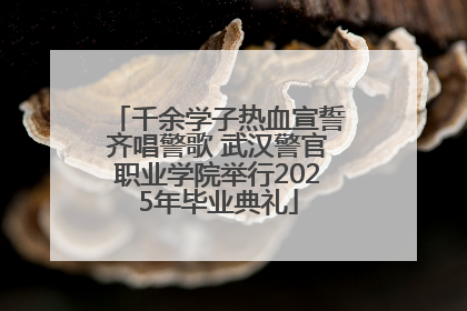 千余学子热血宣誓齐唱警歌 武汉警官职业学院举行2025年毕业典礼