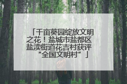 千亩葵园绽放文明之花！盐城市盐都区盐渎街道花吉村获评“全国文明村”