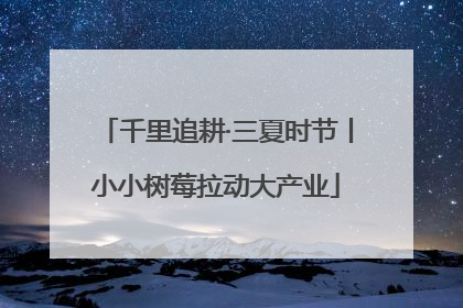 千里追耕·三夏时节丨小小树莓拉动大产业
