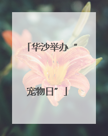 华沙举办“宠物日”