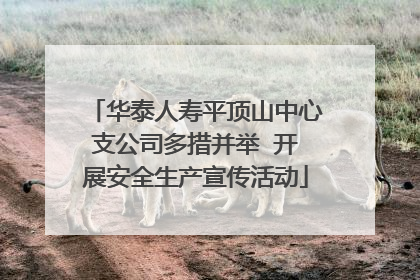 华泰人寿平顶山中心支公司多措并举  开展安全生产宣传活动