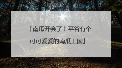 南瓜开会了！平谷有个可可爱爱的南瓜王国