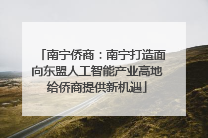 南宁侨商：南宁打造面向东盟人工智能产业高地给侨商提供新机遇