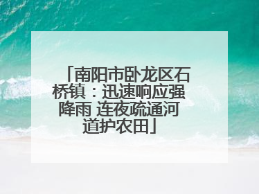 南阳市卧龙区石桥镇：迅速响应强降雨 连夜疏通河道护农田
