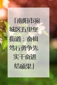 南阳市宛城区五里堡街道：奋楫笃行勇争先 实干奋进结硕果