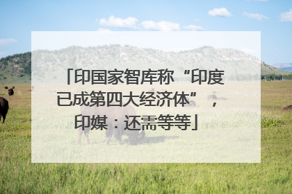 印国家智库称“印度已成第四大经济体”，印媒：还需等等