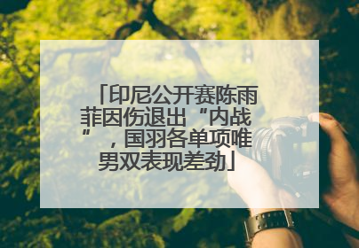 印尼公开赛陈雨菲因伤退出“内战”，国羽各单项唯男双表现差劲