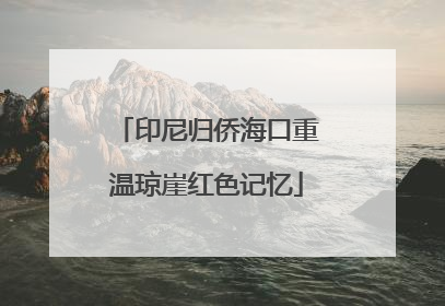 印尼归侨海口重温琼崖红色记忆