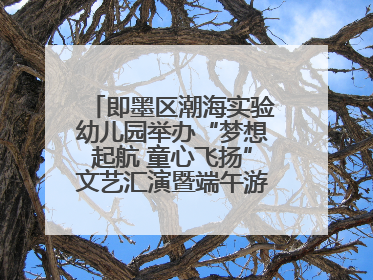 即墨区潮海实验幼儿园举办“梦想起航 童心飞扬”文艺汇演暨端午游园会活动