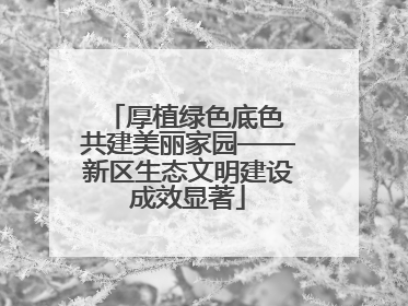 厚植绿色底色 共建美丽家园——新区生态文明建设成效显著