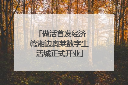 做活首发经济 赣湘边奥莱数字生活城正式开业
