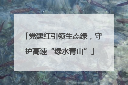 党建红引领生态绿，守护高速“绿水青山”