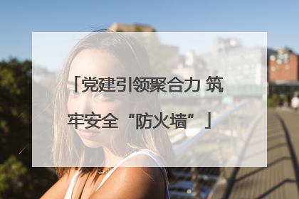 党建引领聚合力 筑牢安全“防火墙”
