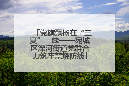 党旗飘扬在“三夏”一线——宛城区溧河街道党群合力筑牢禁烧防线