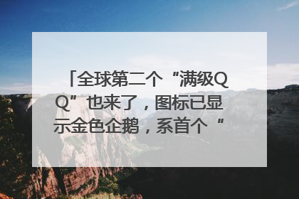 全球第二个“满级QQ”也来了，图标已显示金色企鹅，系首个“满级QQ”的小号