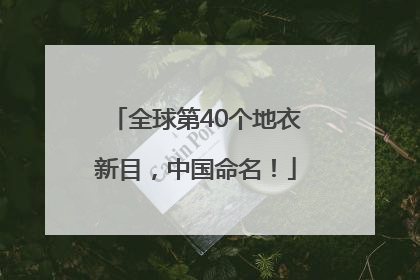 全球第40个地衣新目，中国命名！
