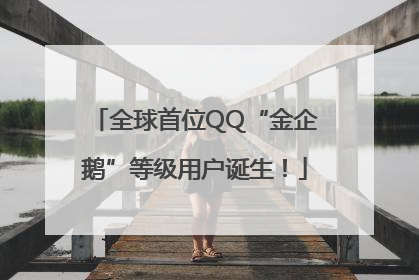 全球首位QQ“金企鹅”等级用户诞生！