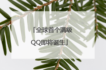 全球首个满级QQ即将诞生